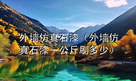 外墻仿真石漆（外墻仿真石漆一公斤刷多少）