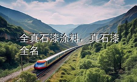 全真石漆涂料，真石漆全名