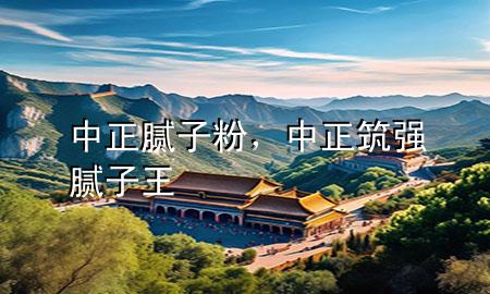 中正 膩子粉，中正筑強膩子王