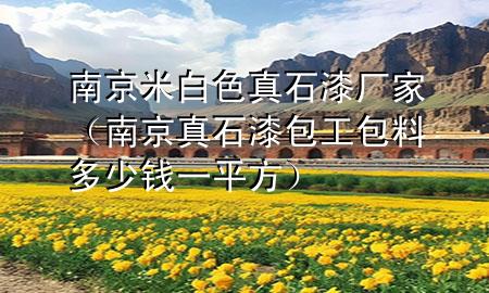 南京米白色真石漆廠家（南京真石漆包工包料多少錢一平方）