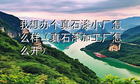 我想辦個真石漆小廠怎么樣（真石漆加工廠怎么開）