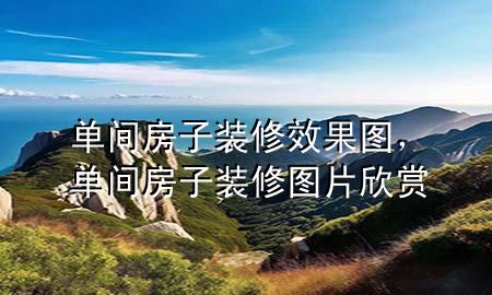 單間房子裝修效果圖，單間房子裝修圖片欣賞