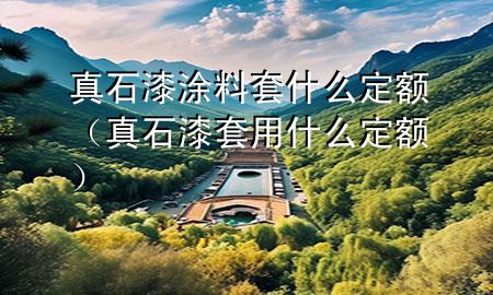 真石漆涂料套什么定額（真石漆套用什么定額）