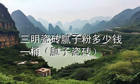 三明瓷磚膩?zhàn)臃鄱嗌馘X一桶（膩?zhàn)?瓷磚）