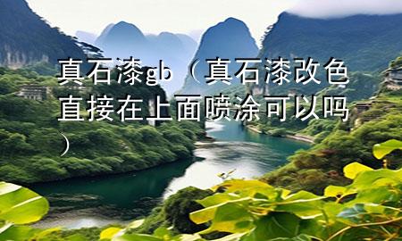 真石漆gb（真石漆改色直接在上面噴涂可以嗎）
