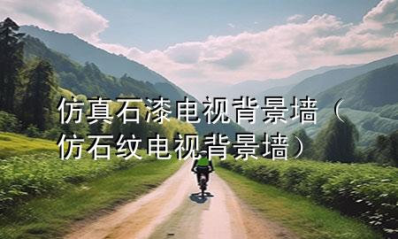 仿真石漆電視背景墻（仿石紋電視背景墻）