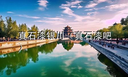 真石漆銀川（真石漆吧）