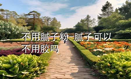 不用膩子粉-膩子可以不用膠嗎