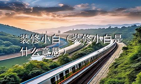 裝修小白（裝修小白是什么意思）