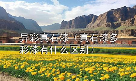 異彩真石漆（真石漆多彩漆有什么區(qū)別）