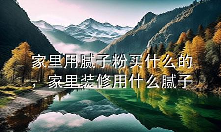 家里用膩子粉買什么的，家里裝修用什么膩子