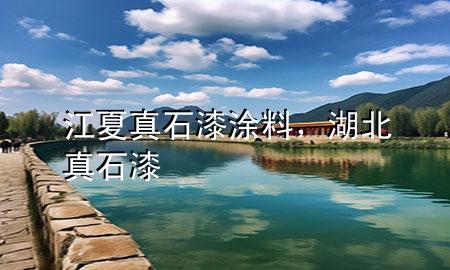江夏真石漆涂料，湖北真石漆