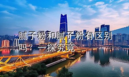 膩子粉和膩子粉有區(qū)別嗎？一探究竟