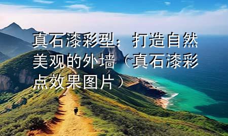 真石漆彩型：打造自然美觀的外墻（真石漆彩點(diǎn)效果圖片）