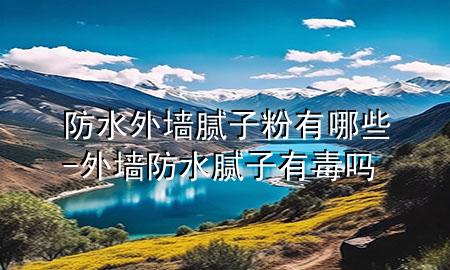 防水外墻膩子粉有哪些-外墻防水膩子有毒嗎