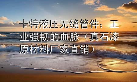 卡特液壓無縫管件：工業(yè)強韌的血脈（真石漆原材料廠家直銷）