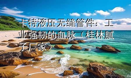 卡特液壓無縫管件：工業(yè)強(qiáng)韌的血脈（桂林膩子廠家）