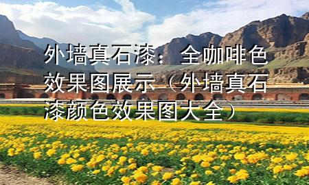 外墻真石漆：全咖啡色效果圖展示（外墻真石漆顏色效果圖大全）
