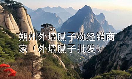 朔州外墻膩子粉經(jīng)銷商家（外墻膩子批發(fā)）