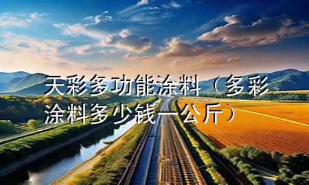 天彩多功能涂料（多彩涂料多少錢一公斤）