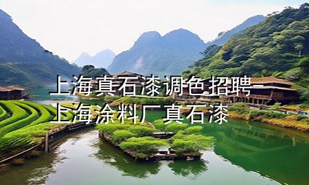 上海真石漆調(diào)色招聘-上海涂料廠真石漆