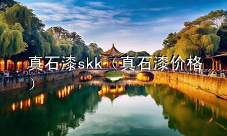 真石漆skk（真石漆價格）