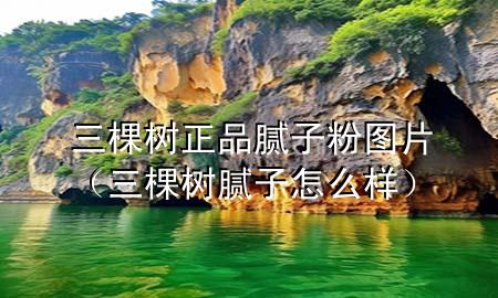 三棵樹正品膩?zhàn)臃蹐D片（三棵樹膩?zhàn)釉趺礃樱?>
             </div>
             <!--文章無圖的情況下插入一張圖片end-->
              
      <p>大家好，今天小編關(guān)注到一個(gè)比較有意思的話題，就是關(guān)于三棵樹正品膩?zhàn)臃蹐D片的問題，于是小編就整理了1個(gè)相關(guān)介紹三棵樹正品膩?zhàn)臃蹐D片的解答，讓我們一起看看吧。</p><ol type=