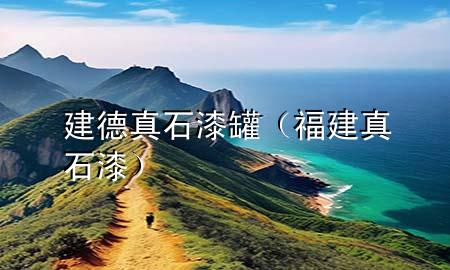 建德真石漆罐（福建真石漆）