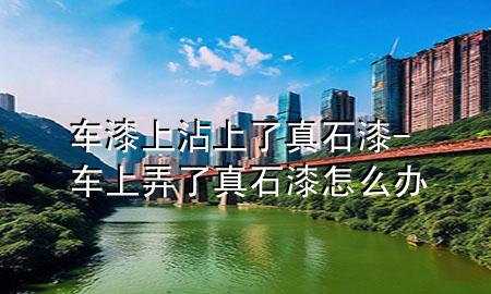 車漆上沾上了真石漆-車上弄了真石漆怎么辦