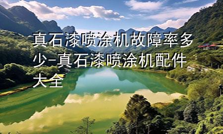 真石漆噴涂機(jī)故障率多少-真石漆噴涂機(jī)配件大全