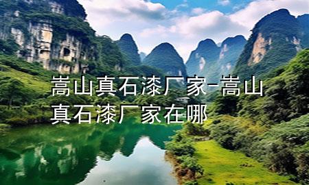 嵩山真石漆廠家-嵩山真石漆廠家在哪