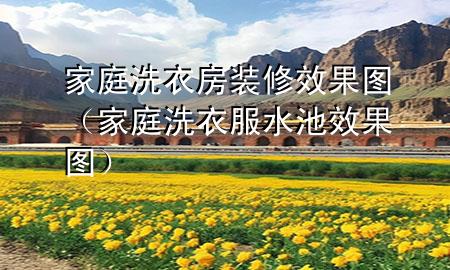 家庭洗衣房裝修效果圖（家庭洗衣服水池效果圖）