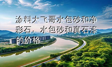 涂料大飛哥水包砂和凈彩石，水包砂和真石漆的價格