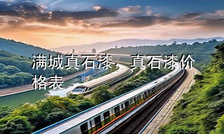 滿城真石漆，真石漆價格表