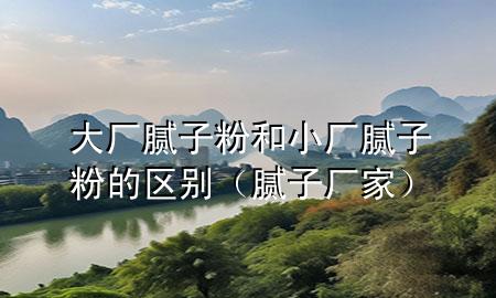 大廠膩子粉和小廠膩子粉的區(qū)別（膩子廠家）
