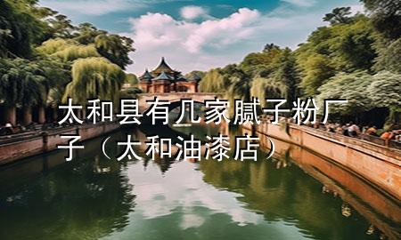 太和縣有幾家膩?zhàn)臃蹚S子（太和油漆店）