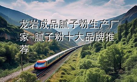 龍巖成品膩子粉生產(chǎn)廠家-膩子粉十大品牌推薦