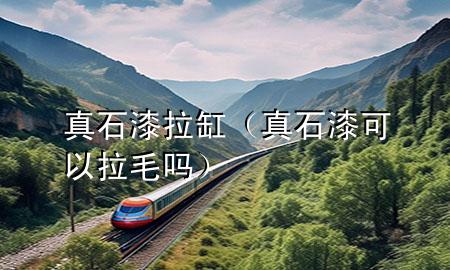 真石漆拉缸（真石漆可以拉毛嗎）