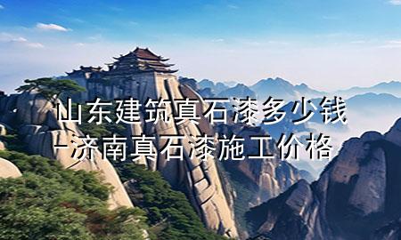 山東建筑真石漆多少錢-濟南真石漆施工價格