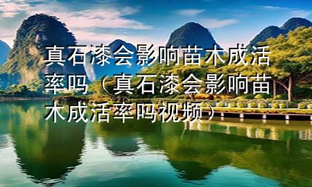 真石漆會影響苗木成活率嗎（真石漆會影響苗木成活率嗎視頻）