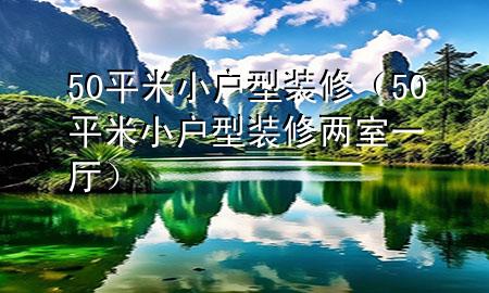 50平米小戶型裝修（50平米小戶型裝修兩室一廳）