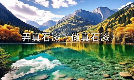 弄真石漆（做真石漆）