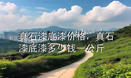 真石漆底漆價(jià)格，真石漆底漆多少錢一公斤