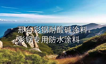 邢臺彩鋼耐酸堿涂料，彩鋼專用防水涂料