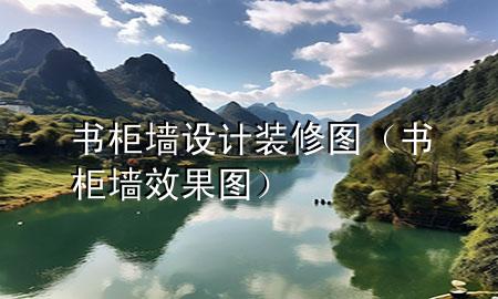書(shū)柜墻設(shè)計(jì)裝修圖（書(shū)柜墻效果圖）
