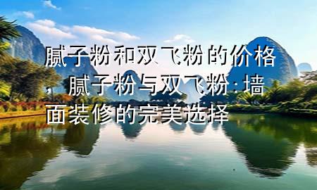 膩子粉和雙飛粉的價格，膩子粉與雙飛粉:墻面裝修的完美選擇