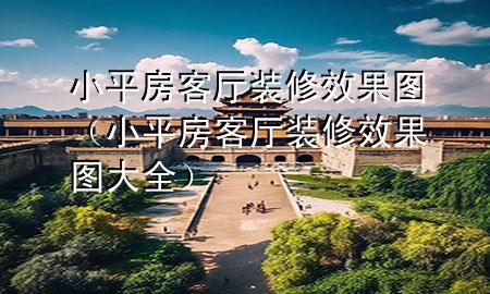 小平房客廳裝修效果圖（小平房客廳裝修效果圖大全）