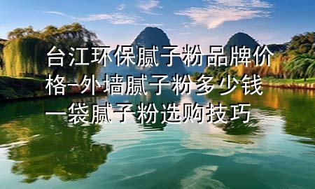 臺(tái)江環(huán)保膩?zhàn)臃燮放苾r(jià)格-外墻膩?zhàn)臃鄱嗌馘X(qián)一袋 膩?zhàn)臃圻x購(gòu)技巧