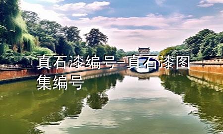 真石漆編號-真石漆圖集編號