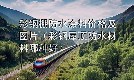 彩鋼棚防水涂料價(jià)格及圖片（彩鋼屋頂防水材料哪種好）